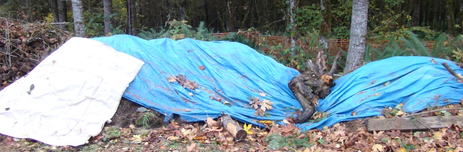 Top soil pile covered with tarps