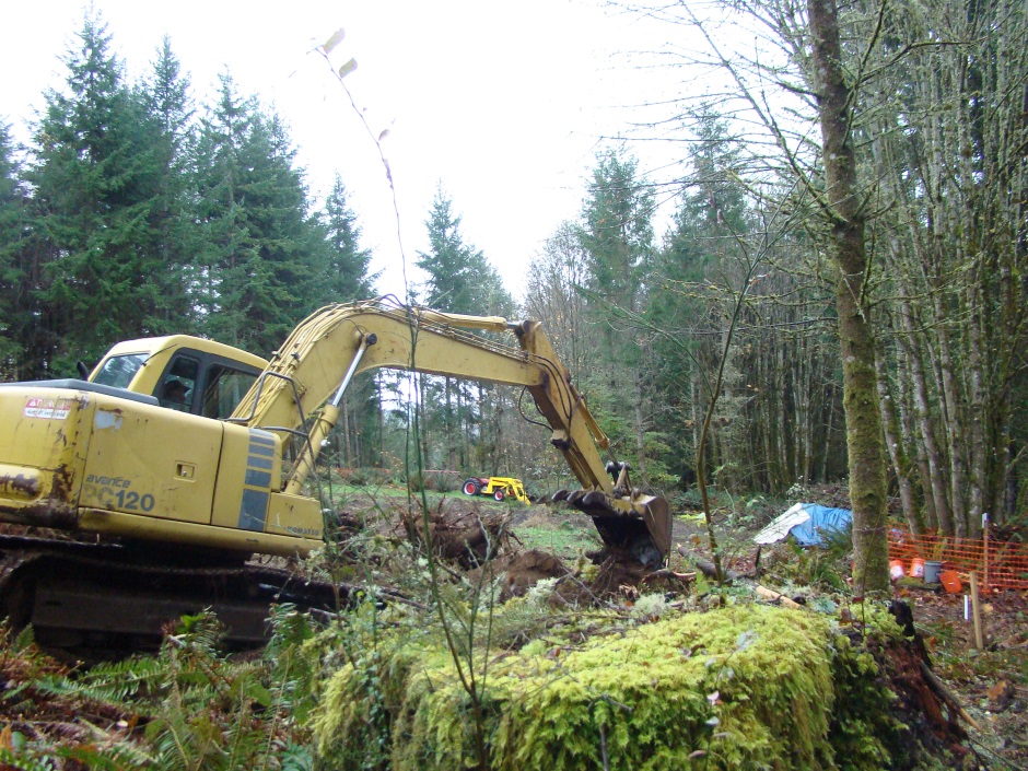 Excavator tree stump digging