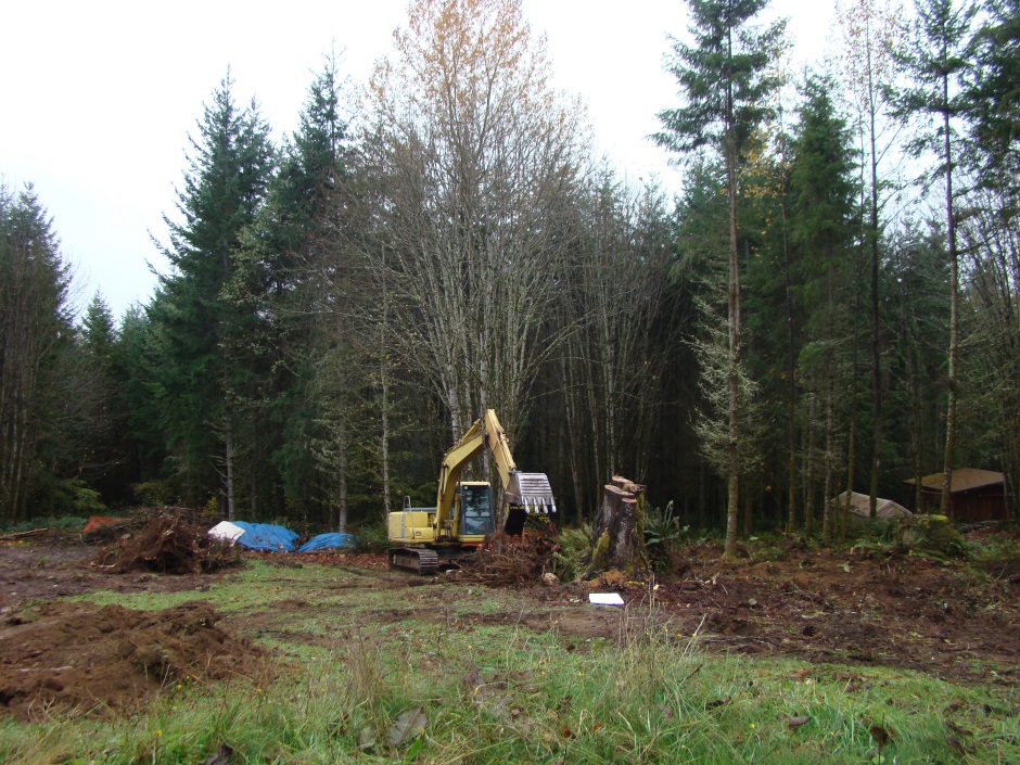 Excavator tree stump moving
