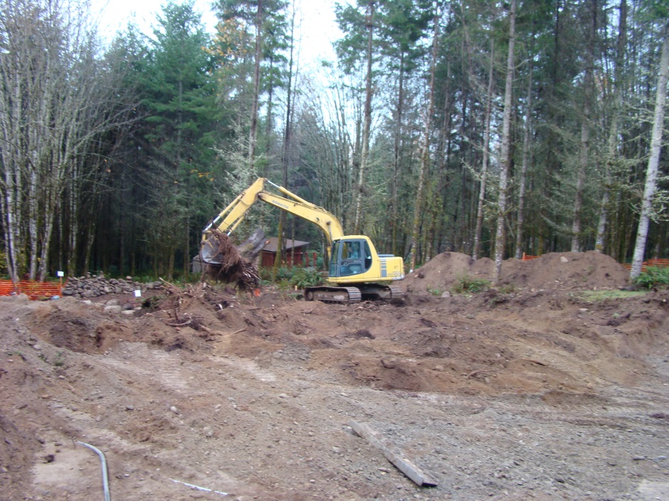 Excavator big maple carrying