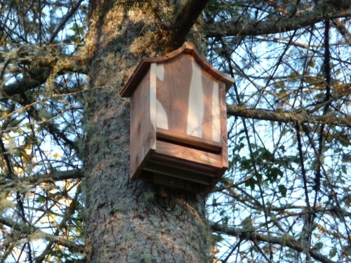 Bat box