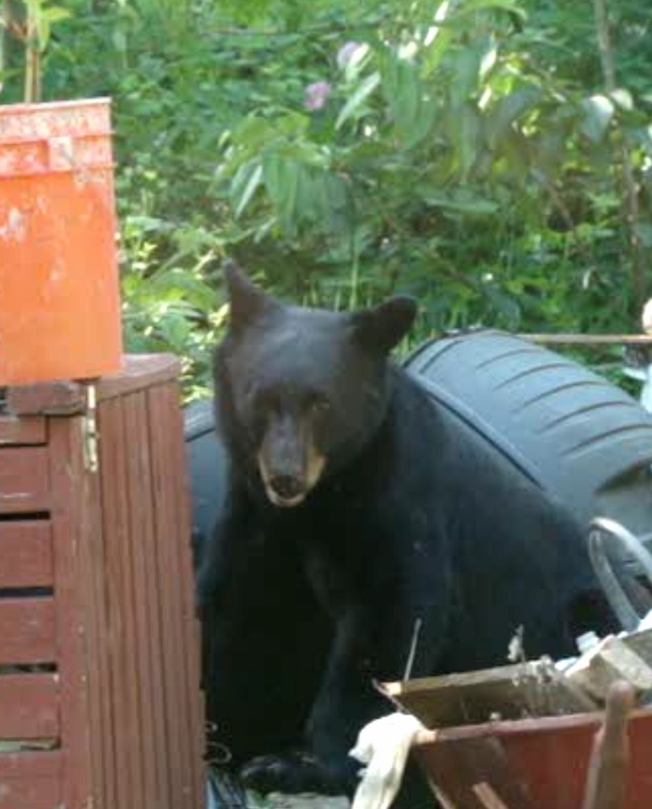 Bear Composter