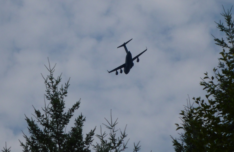 Big Plane Over Trees