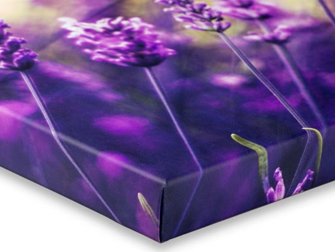 Canvas Photo Purple