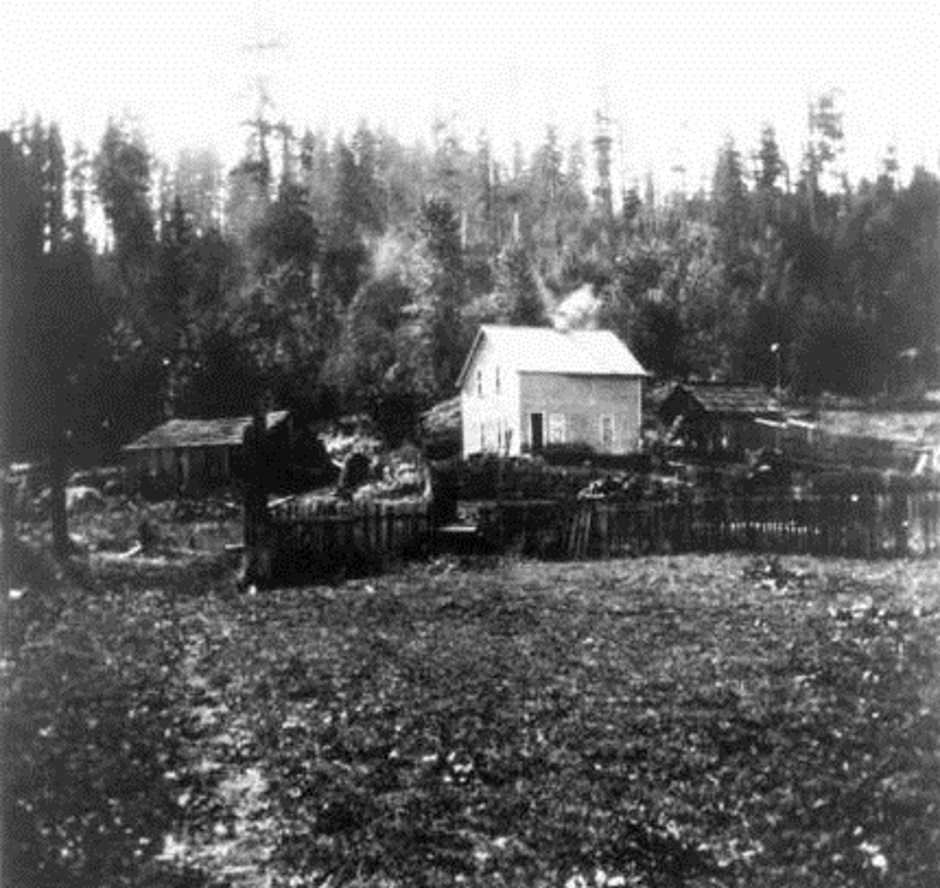 Carnation WE_Sikes Homestead Tolt 1900