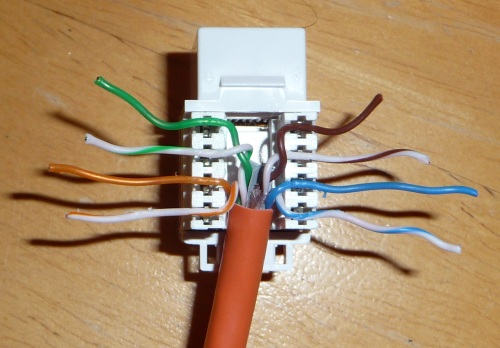 Cat-6 wires laid over socket