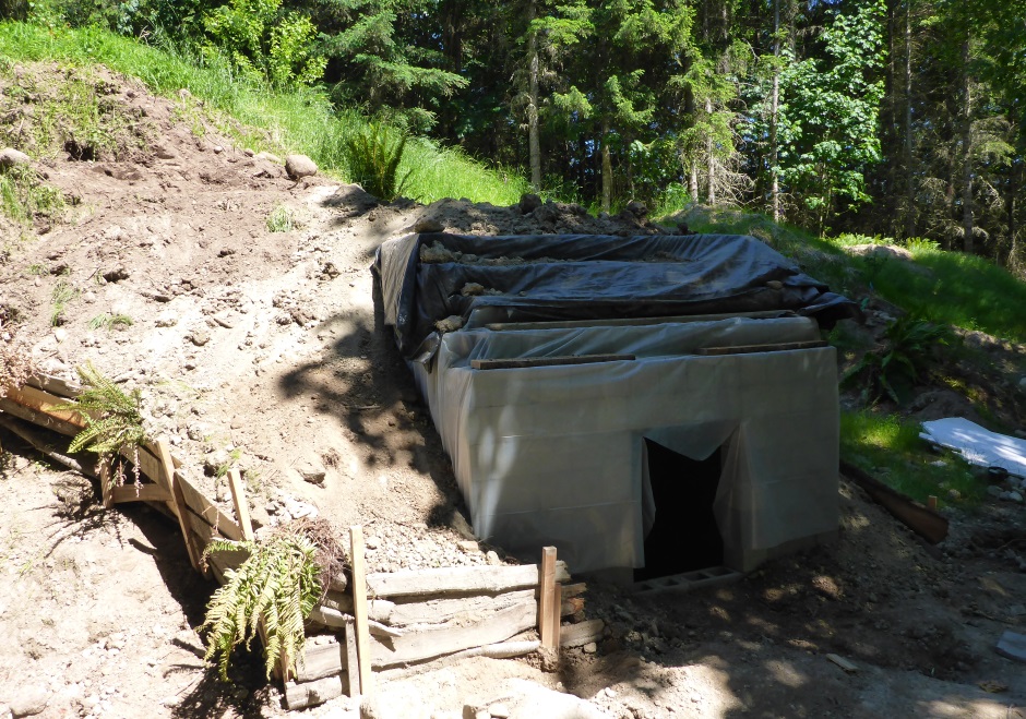 Cave Starting Backfilling