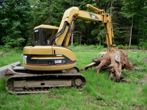 Big old tree stump