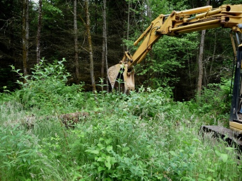 Digger gardening