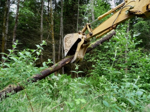 Digger moving log