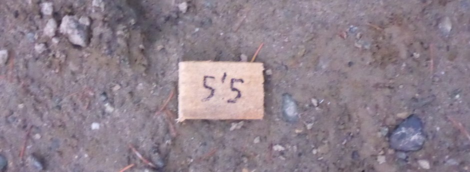 Excavation Measured Marker