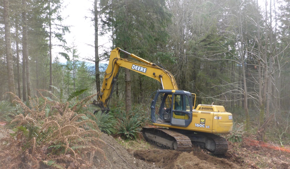 Excavator Moving Ferns