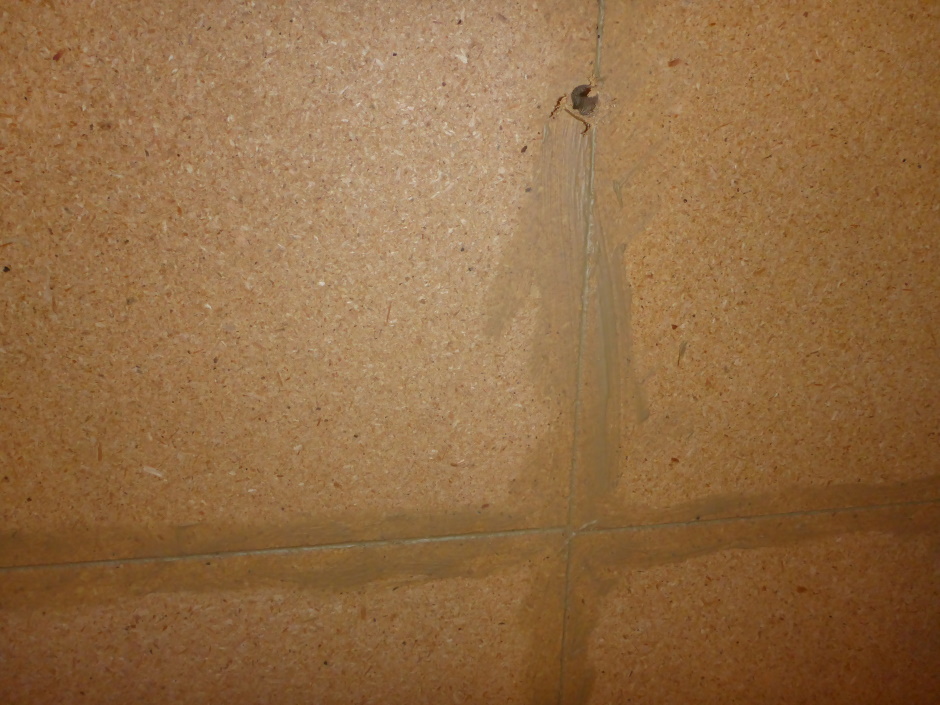 Filler Glue On Inside Particleboard