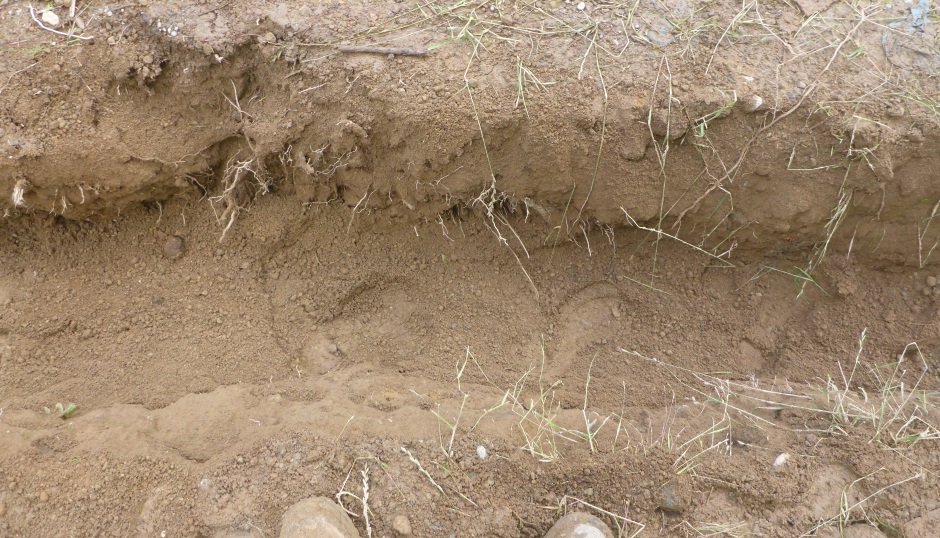 Filtered soil in pipe trench