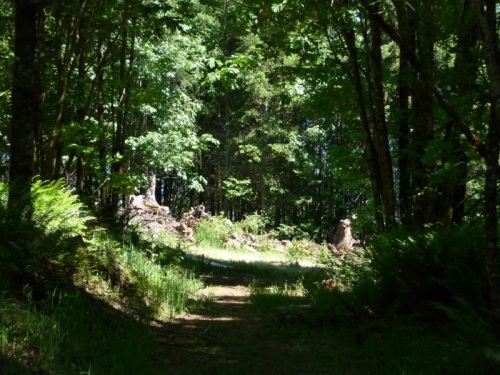 Green path from well