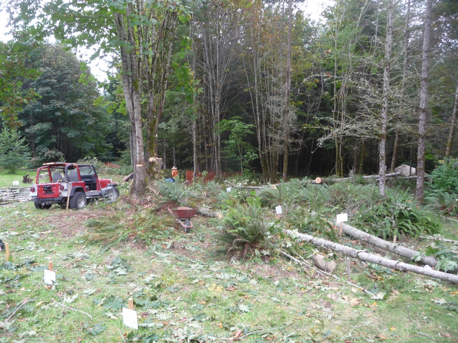 House site clearing part way through