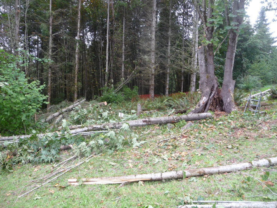 House site clearing started