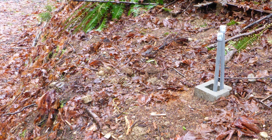 Light Base Surrounded By Soil