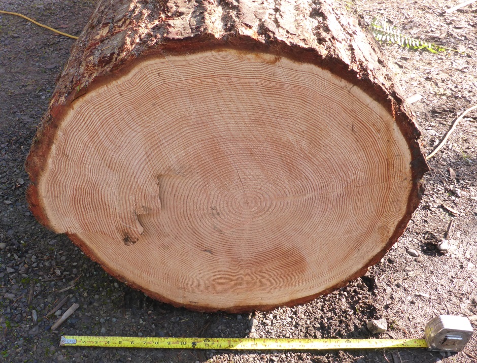 Log Measure