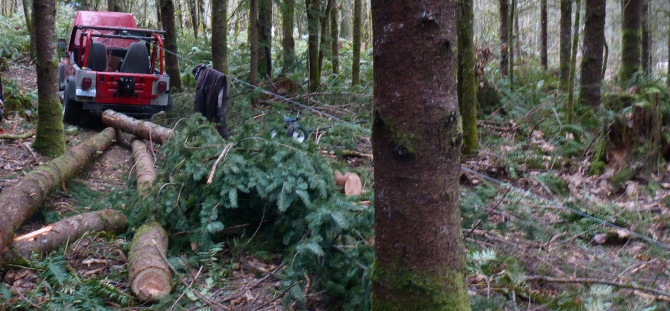 Logging Winch On Jeep Forest