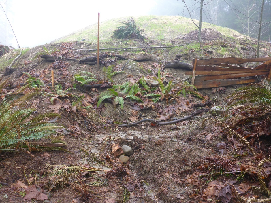 Mountain From Rain Tank Area