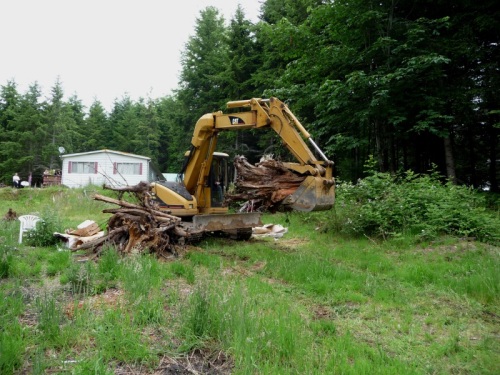 Moving big stump home