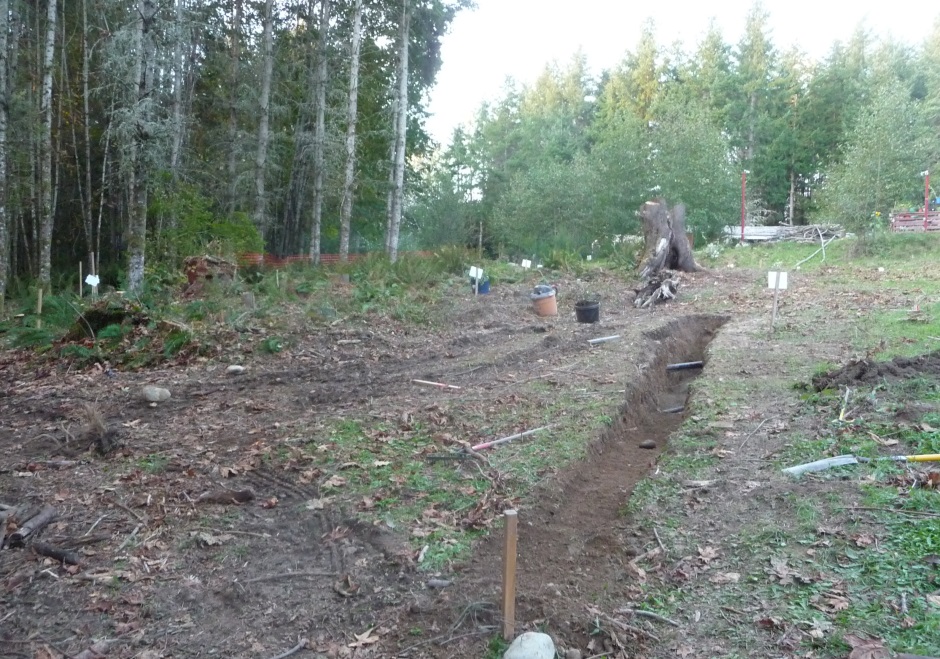 Reference ditch on site