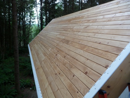 Roof north planking with drip edge
