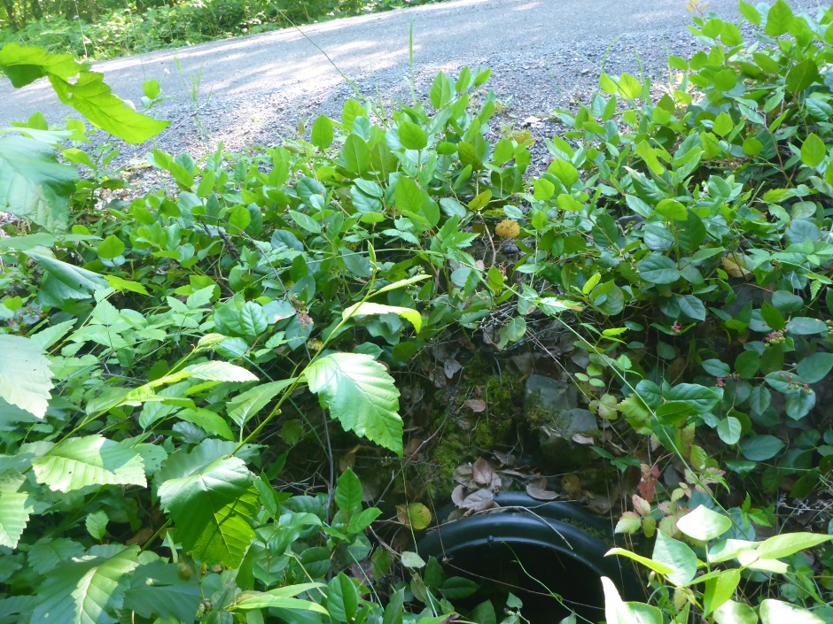 Rural Broadband Culvert Pipe End