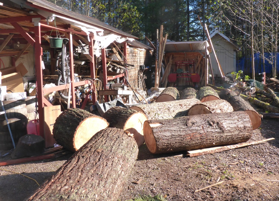 Sawmill Big Logs Waiting