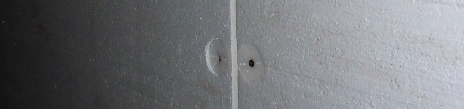 Simple Shed Wall Eps Screwed On
