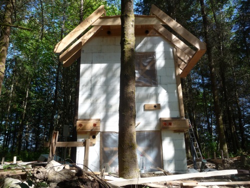 Site roof with flat area planks