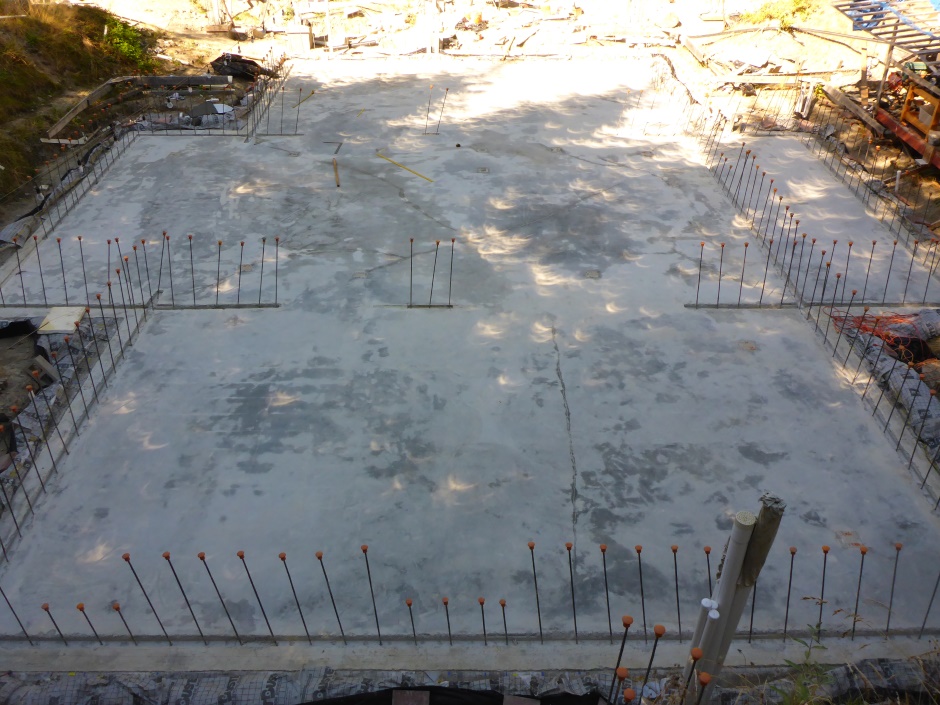 Site Slab Tree Eclipse Patterns