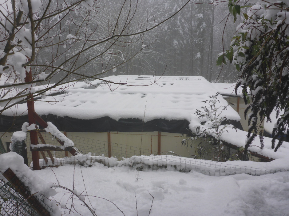 Site Snowy Basement Roof