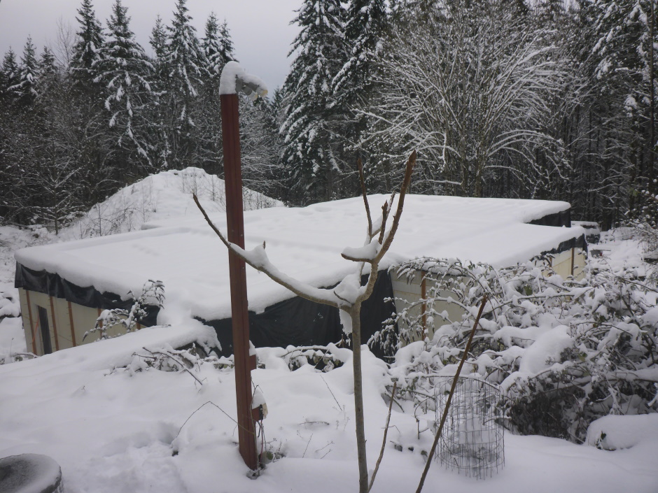 Site Snowy Basement Roof 2