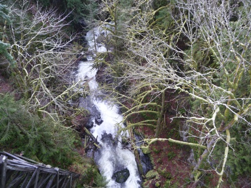 Snoqualmie Trail - Tokul river