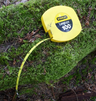 Tape measure 100 feet