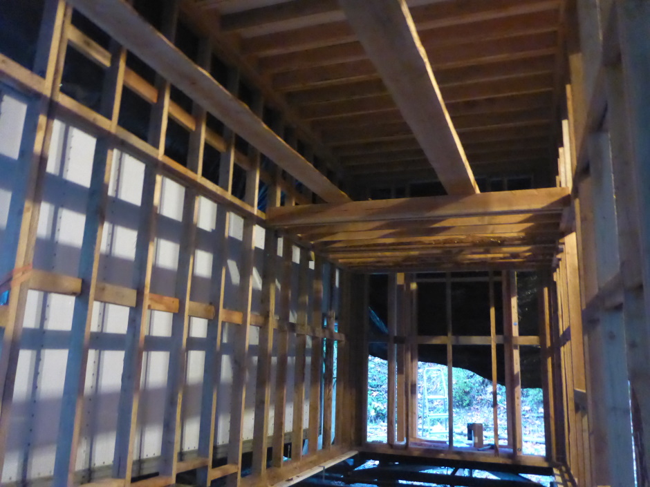 Tiny House Framing Inside Roof 3