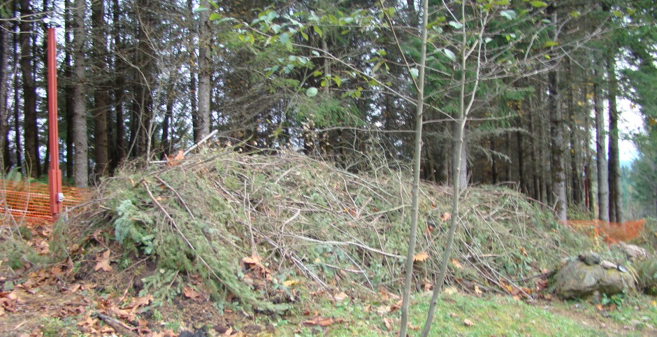 Top soil stockpile covered in mulch