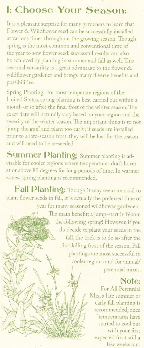 Wild Flower Planting Instructions