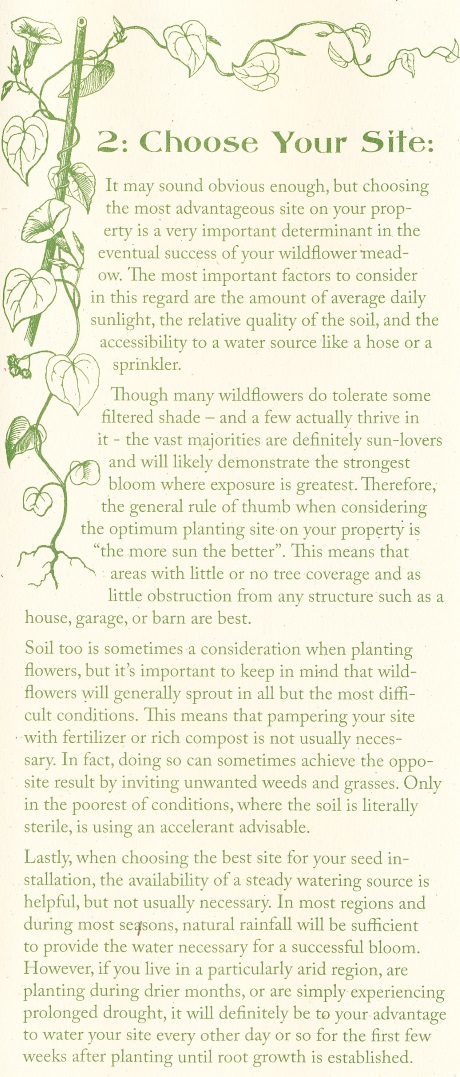 Wild Flower Planting Instructions